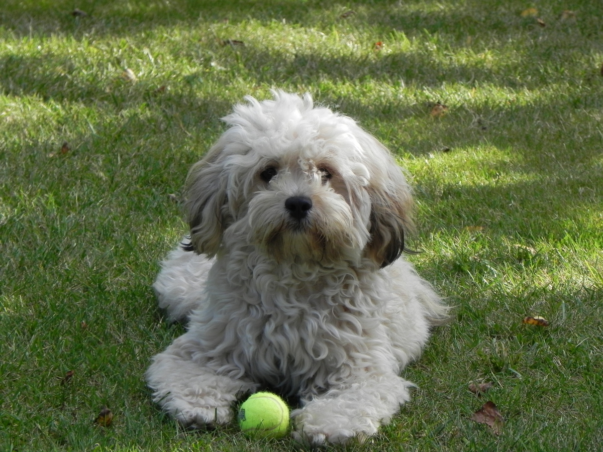 MILO2014 131